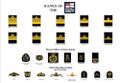 Navy Ranks and Patches.jpg