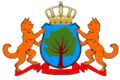 The first coat of arms, Large variant.