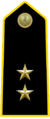 Lieutenant_Colonel.png‎