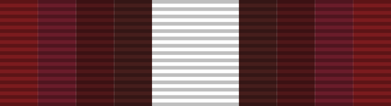 File:Ribbon of Firearms Qualification.svg