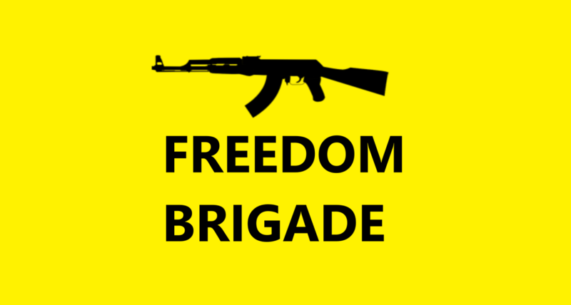 File:Freedom brigade flag.png