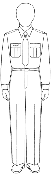 File:Class B army service uniform.png