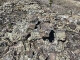 A stack of rocks, evidence of previous human presence on Gansholm.