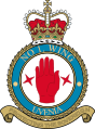 Badge of the 1 Wing HMAF.svg