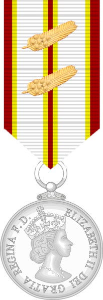 File:Medal of Red Cross Medal (Queensland) 2 C.png