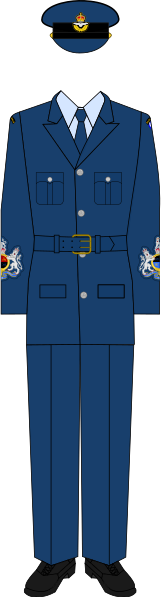 File:Warrant officer, No. 1 dress HRAF.svg