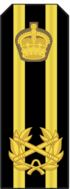 Shoulder insignia of an Admiral
