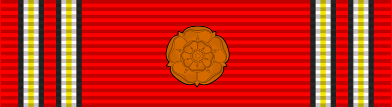 File:Scout Medal 6.png