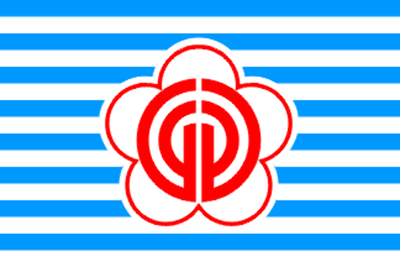 File:Flag of Hong Kong Province.png