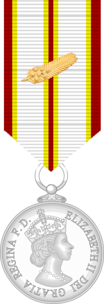 File:Medal of Red Cross Medal (Queensland) 3 C.png