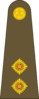 West Canadian Army Lieutenant