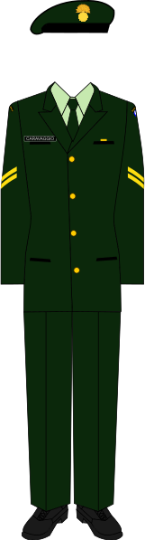File:The 1st Prince of Kingston in Service Dress.svg