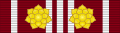 Ribbon bar of the Distinguished and Long Service Medal (Vishwamitra) - 2 rosettes.svg