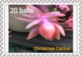 20 ball Christmas Cactus Stamp. Part of the F Series (Flower Series).