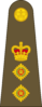 West Canadian Army Colonel