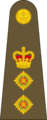 West Canadian Army Colonel.png