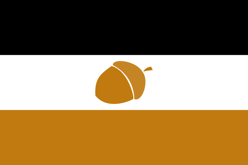 File:South Sawdustistan Flag.svg