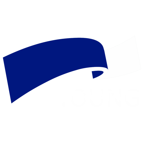 File:Conservative Party of Begon.png