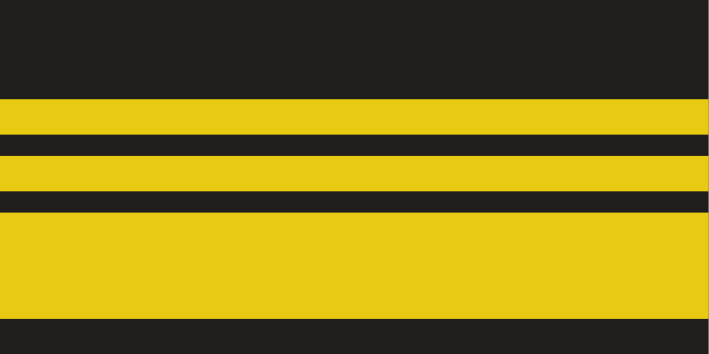 File:Command flag of an Vice Admiral.svg