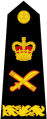 General (Vishwamitra) - insignia.svg