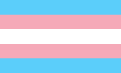 File:Transgender Pride flag.svg