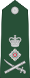 Queenslandian-Army-OF-07-collected.svg
