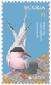 National postage standard letter