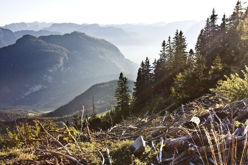 File:Alpen by Horst Michael Lechner.jpg