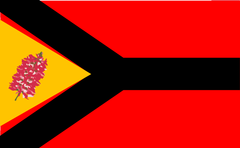 File:Dharug Captaincy Flag.png