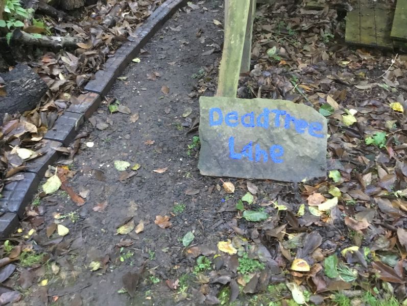 File:Sign of Dead Tree Lane in November 2019.jpeg