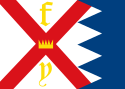 Flag of Nueva Paloma