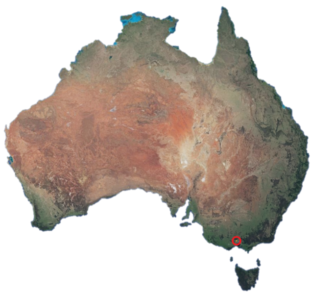 File:Ameristralia Circled within Australia.png