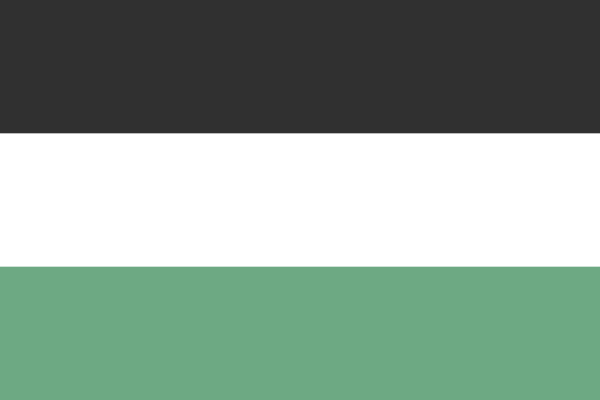 File:Flag of Forsyth.svg