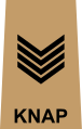 Staff Sergeant Major