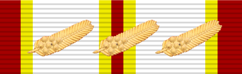 File:1 Class Ribbon of Red Cross Medal (Queensland).png
