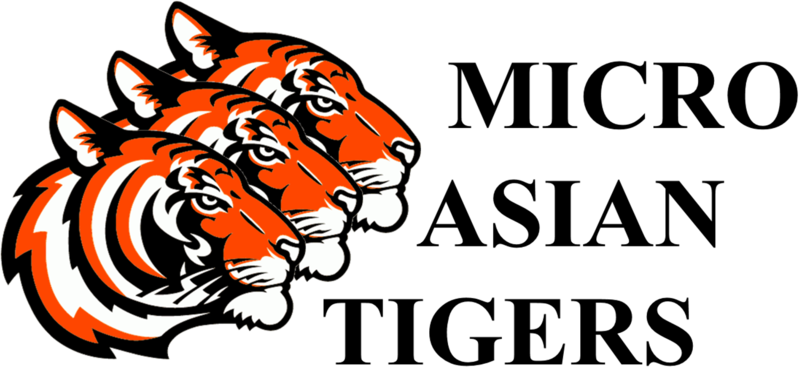 File:Micro Asian Tigers logo.png