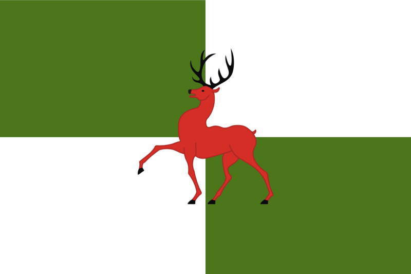 File:New flag of Irish Cape.png