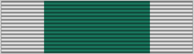 File:ServiceMedal1stCampaign.png