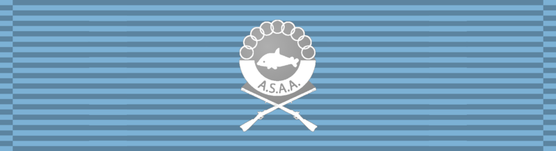 File:UAR Defence medal.png