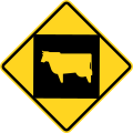 Animals on road (Cattle) Quebec.svg
