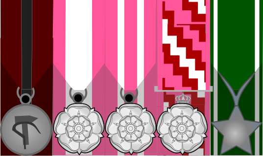 File:Supernumerary medals of John I, December 2018.svg