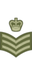 West Canadian Army Staff-Colour Sergeant.png