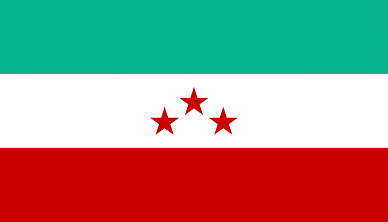 File:New Metropinangese flag.png