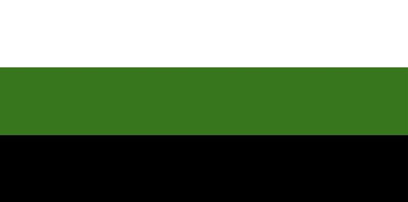 File:Aarianian Region Flag (Couvyne).jpg