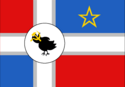 Flag of SSZ • Zyamfranz