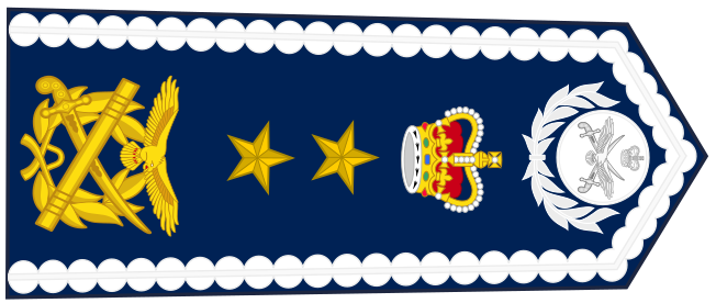 File:Queenslandian-Air force-OF-07-rotated.svg