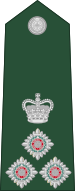 File:Queenslandian-Army-OF-06-collected.svg