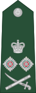 File:Queenslandian-Army-OF-08-collected.svg