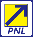 PNL 2.png