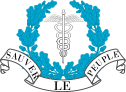 File:Emblem of His Majesty's Medical Branch.svg